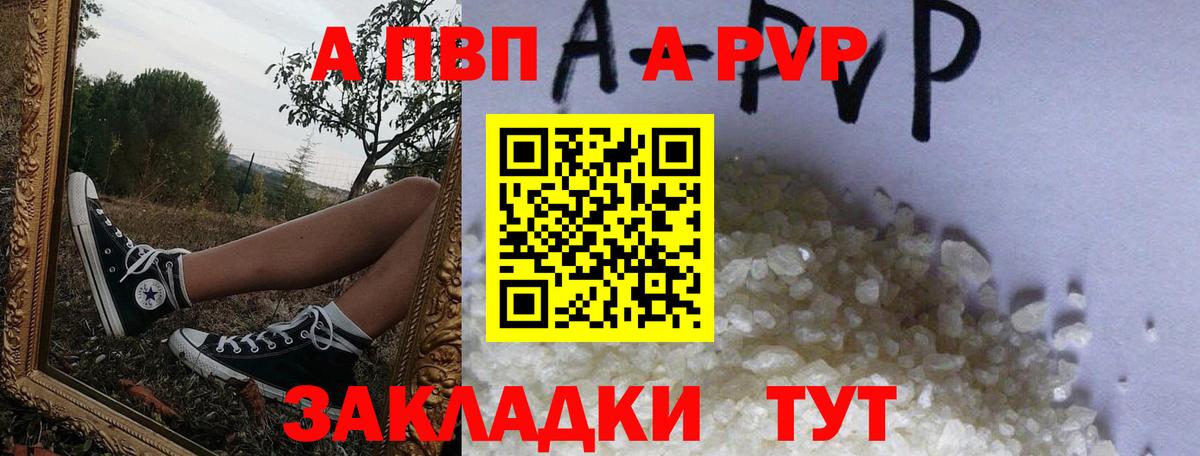 Альфа ПВП СК Петропавловск-Камчатский