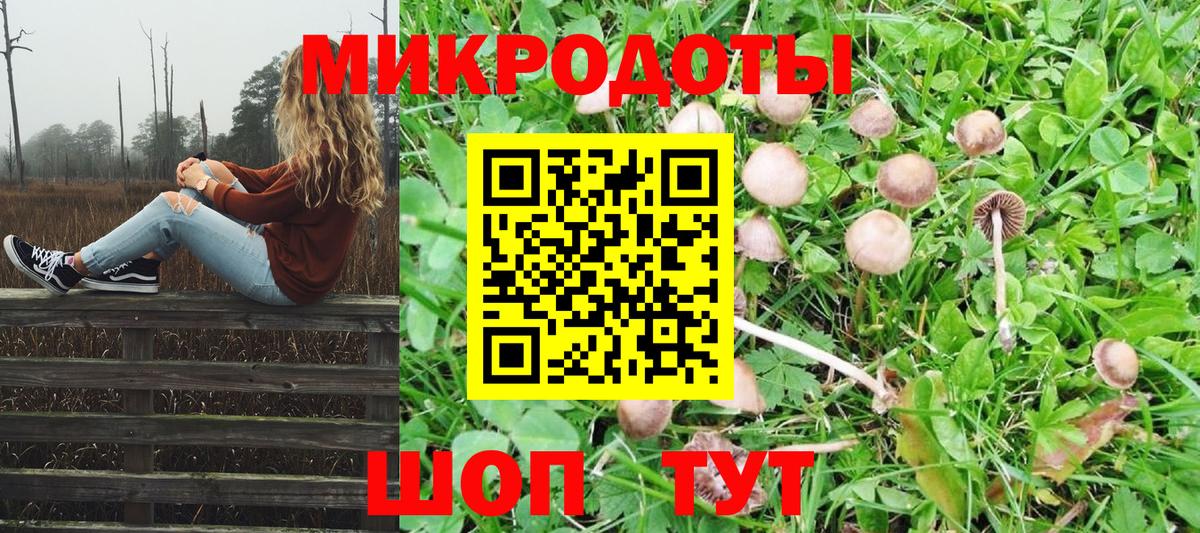 Галлюциногенные грибы Psilocybine cubensis  наркотики  Петропавловск-Камчатский  Вход с VPN  Псилоцибиновые грибы Magic Shrooms 
